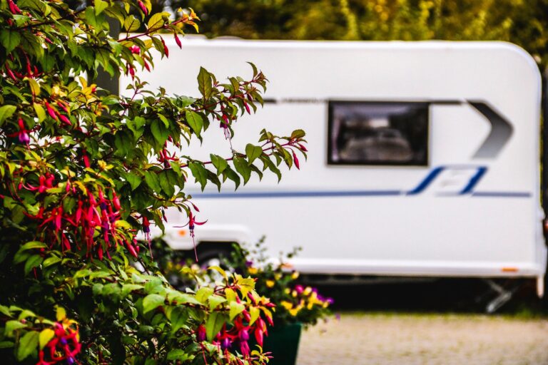 Professional shot of a caravan next to flowers. Top 5 tips for new caravan owners blog by Webbs.