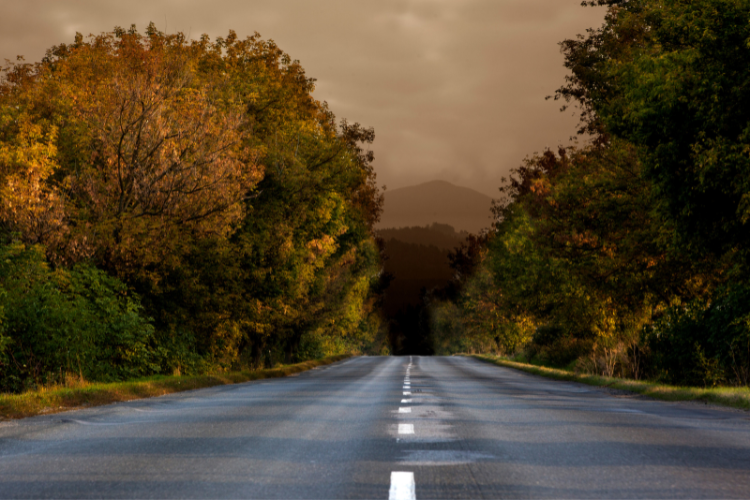 An open road leading into the distance with autumnal trees either side. A Webbs blog on ensuring safety and security in your motorhome or caravan adventure.