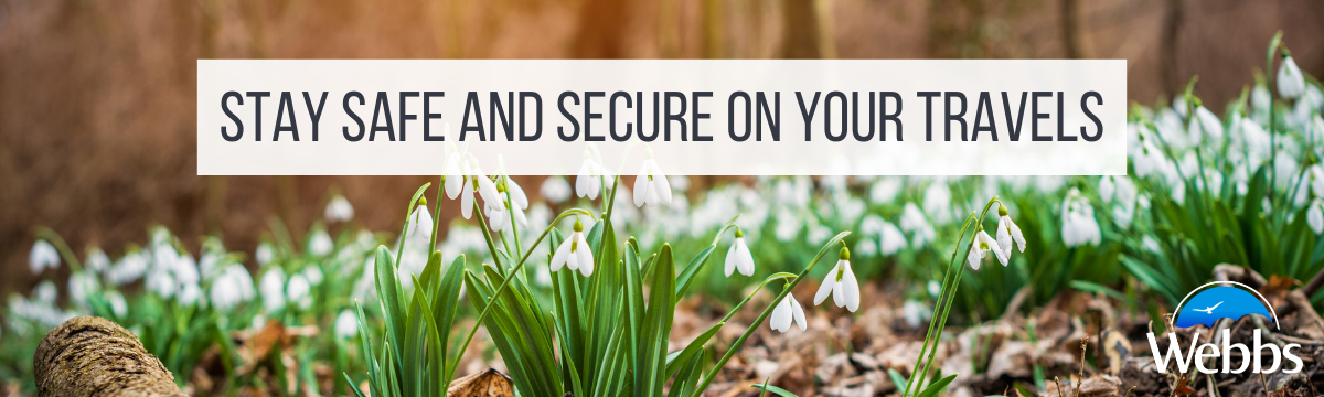 Snowdrops in a woodland. A Webbs blog on ensuring safety and security in your motorhome or caravan adventure.