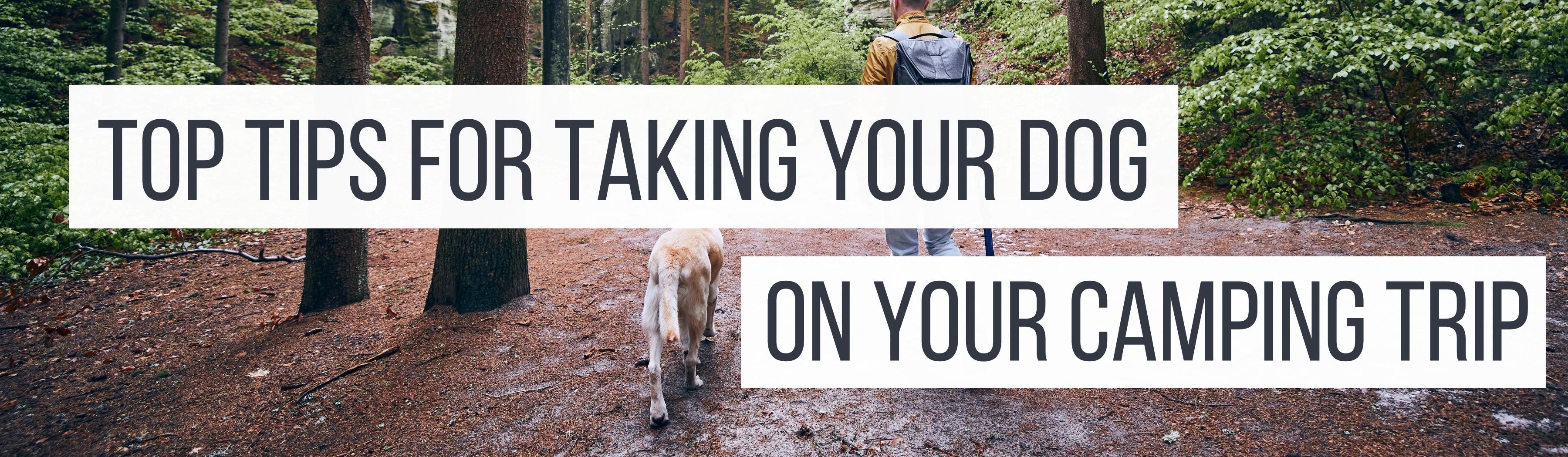 A man walking his dog through a woodland area. Top Tips For Taking Your Dog On Your Camping Trip by Webbs.