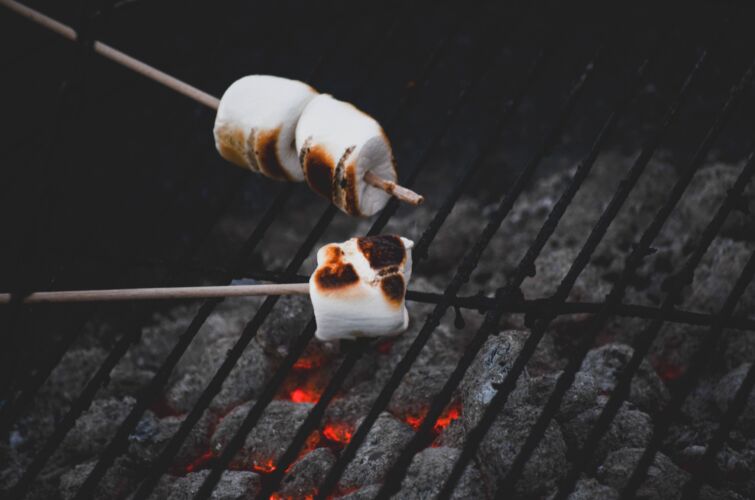 Roasting marshmallows on a camping trip. Used caravans for sale at Webbs. Caravan and motorhome accessories at Webbs Outdoors.